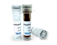 Mouse CD45+ Cell lsolation Kit